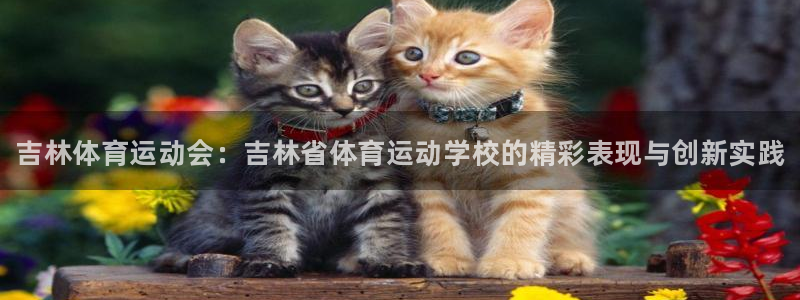 JJB竞技宝官方正版app集团logo：吉林体育运动
