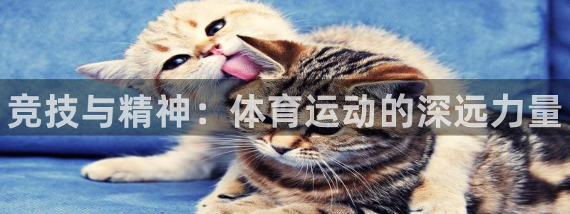 JJB竞技宝官网下载平台注册流程视频：竞技与精神：体