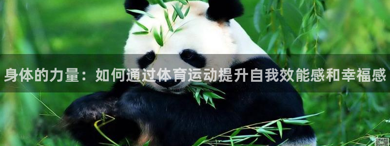 JJB竞技宝官方正版app集团：身体的力量：如何通过
