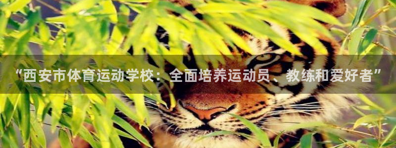 JJB竞技宝官方正版app集团logo：“西安市体育