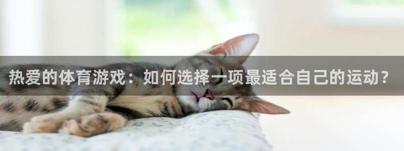 JJB竞技宝官方正版app娱乐下载：热爱的体育游戏：如何选择