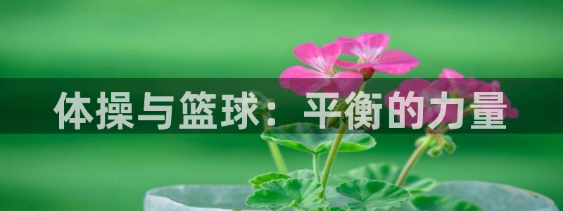 JJB竞技宝官网下载平台是正规平台吗知乎：体操与篮球