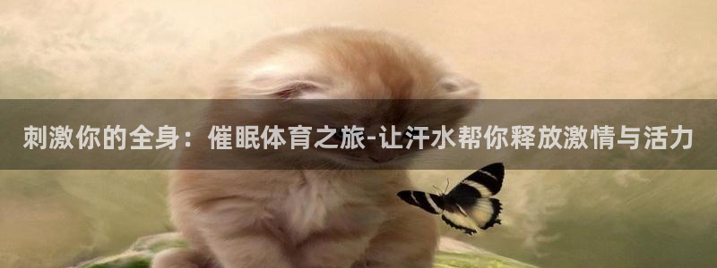 JJB竞技宝官网下载招商电话：刺激你的全身：催眠体育