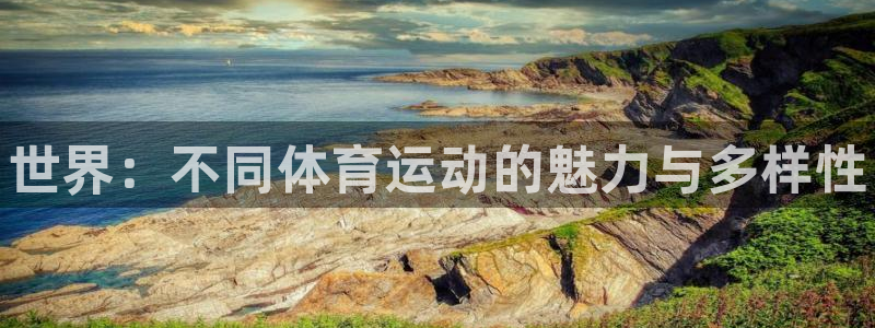 JJB竞技宝官网下载平台是正规平台吗知乎：世界：不同体育运动