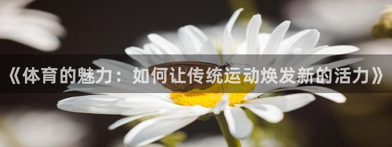 JJB竞技宝官方正版app娱乐平台：《体育的魅力：如