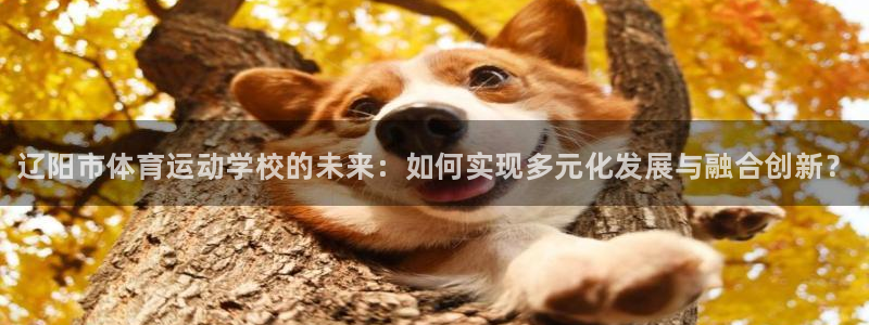 JJB竞技宝官方正版app集团简介：辽阳市体育运动学校的未来