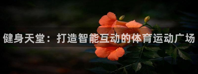 JJB竞技宝官网下载招商电话：健身天堂：打造智能互动的体育运