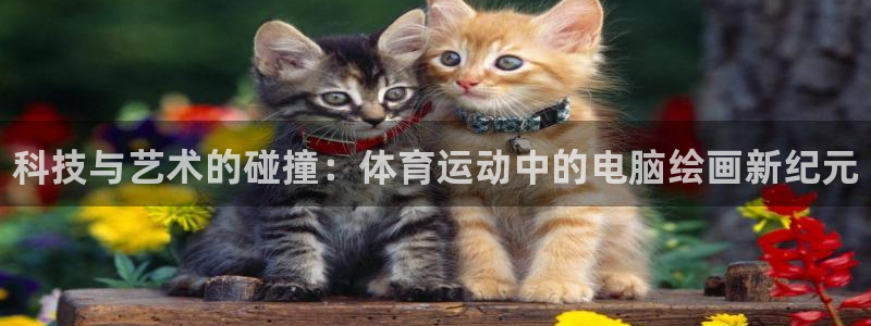 海南JJB竞技宝官网下载：科技与艺术的碰撞：体育运动