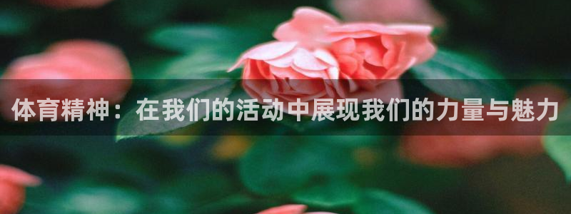 JJB竞技宝官网下载注册：体育精神：在我们的活动中展现我们的