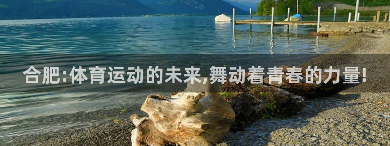 JJB竞技宝官方正版app代理：合肥:体育运动的未来