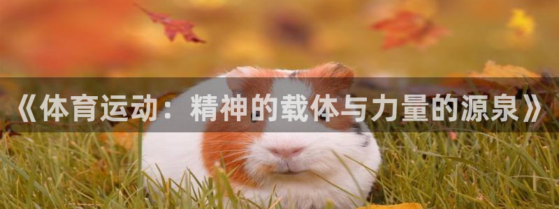 海南JJB竞技宝官网下载发展怎么样：《体育运动：精神的载体与