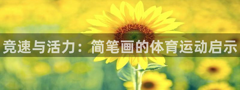 海南JJB竞技宝官网下载：竞速与活力：简笔画的体育运动启示