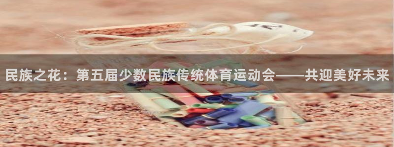 JJB竞技宝官方正版app娱乐首页官网下载：民族之花：第五届