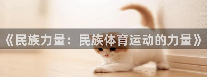 海南JJB竞技宝官网下载发展怎么样：《民族力量：民族体育运动