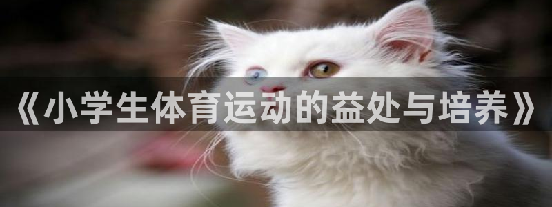 JJB竞技宝官方集团官网：《小学生体育运动的益处与培养》