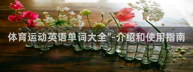 JJB竞技宝官方平台体育：体育运动英语单词大全\