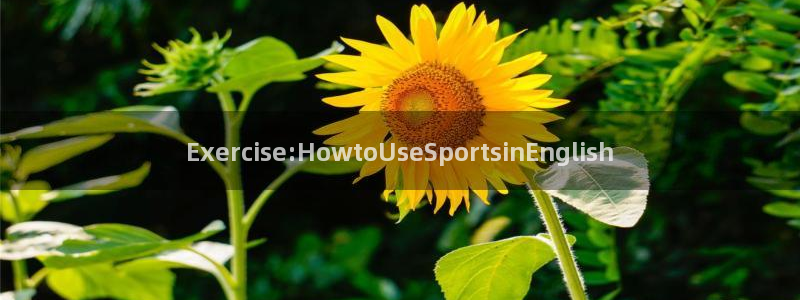 JJB竞技宝官方正版app娱乐网站：Exercise:How