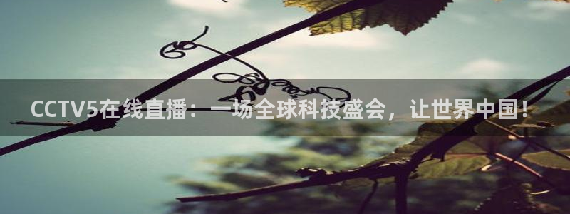 nba山猫直播体育：CCTV5在线直播：一场全球科技盛会，让世界中国！