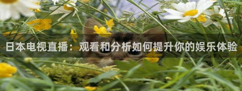 山猫免费体育赛事直播：日本电视直播：观看和分析如何提升你的娱乐体验