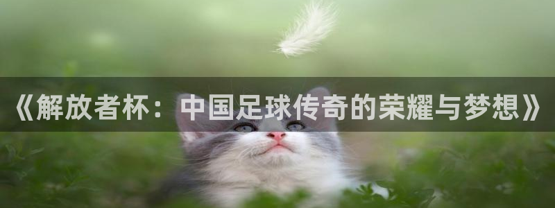 山猫体育免费直播篮球cba：《解放者杯：中国足球传奇的荣耀与梦想》