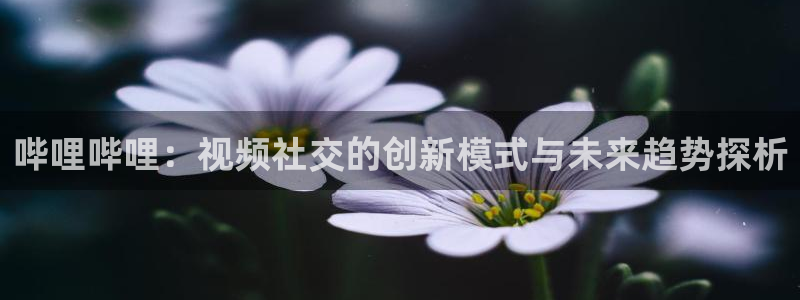 山猫体育免费直播篮球：哔哩哔哩：视频社交的创新模式与未来趋势探析