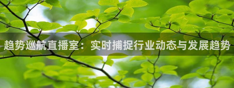 山猫看球免费高清直播：趋势巡航直播室：实时捕捉行业动态与发展趋势