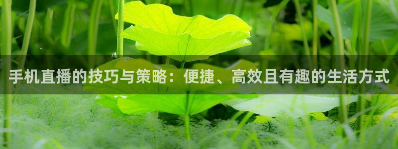 山猫直播免费篮球：手机直播的技巧与策略：便捷、高效且有趣的生活方式
