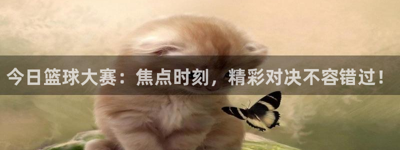 山猫体育直播在线观看nba：今日篮球大赛：焦点时刻，精彩对决不容错过！