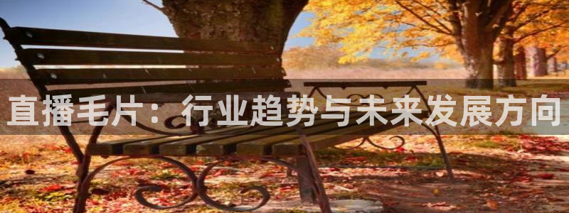 山猫足球免费直播高清视频大全：直播毛片：行业趋势与未来发展方向