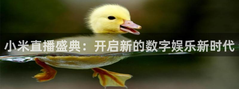 山猫足球体育直播：小米直播盛典：开启新的数字娱乐新时代